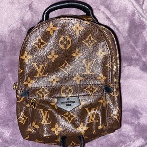 Louis Vuitton Palm Springs mini